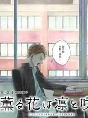 今晚吃什么城市篇 美食纪实综艺